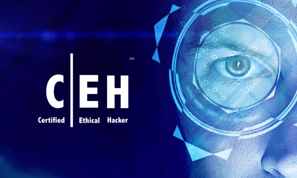 CEH-Certified Ethical Hacker Course in Hyderabad